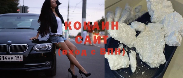 индика Пересвет